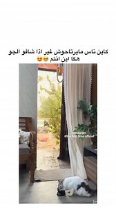 Bnnat l'Algérie on Reels