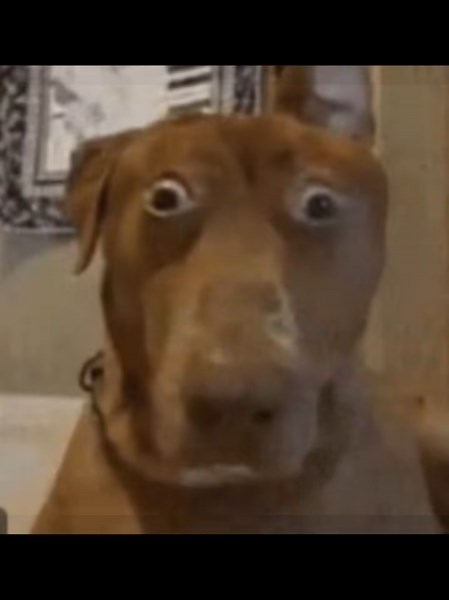 Avoiding Eye Contact with Strangers on the Bus