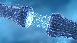 3D Animation: Bone Fracture Healing