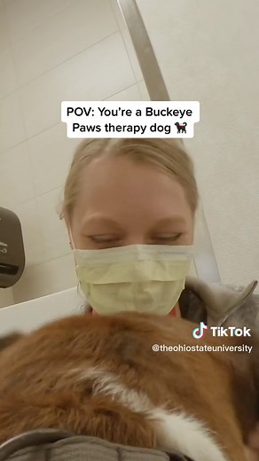 There are no ruff days when the Buckeye Paws dogs are around! 🥰🐾 Learn more about our fluffy friends at the link in bio!
