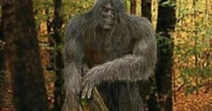 Top Ten Unsolved Mysteries from New Zealand