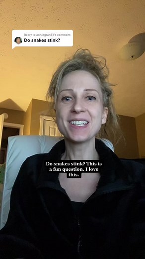 Do Snakes Stink? Exploring Snake Smells