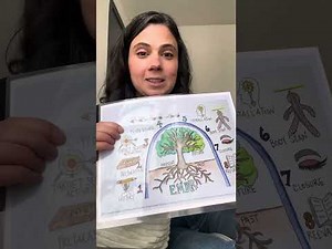 What Are the 8 Phases of EMDR?