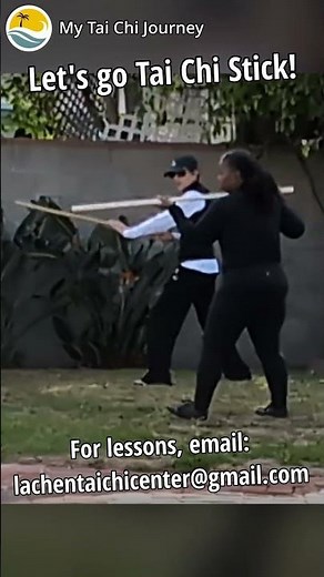 Tai Chi Stick
