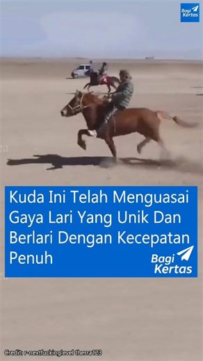 Sekilas terlihat seperti berlari, tapi kalau diperhatikan baik-baik, kuda ini sebenarnya tidak berlari dengan pola gallop biasa. Ia menggunakan gaya langkah unik di mana kaki bergerak secara bergantian — kaki kiri depan maju saat kanan depan mundur, begitu juga dengan kaki belakangnya. Gerakan ini menciptakan ritme halus seperti jalan cepat super cepat, bukan loncatan khas kuda yang sedang berpacu. #Kuda #FaktaHewan #HorseGait #KudaUnik #NatureLovers #AnimalBehavior #KudaLari #EquineFacts #Hewan