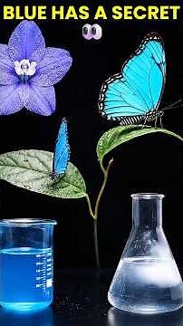 Nature Has 5 Ways to Make Blue 💙 #animals