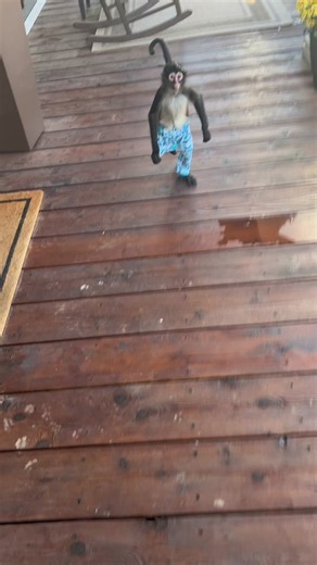 Relaxing on the Porch After a Refreshing Rain