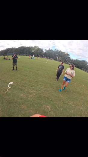 #ballpython #snake #reptiles #snake | Ball Python Chronicles