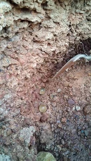 Gemstones, gems ,expensive, diamond, #jewelry #rarest #diamonds# #gemstones #gemstone #most #valuable #gemstones #most expensive #crystals #mostexpensive #gemstones #snake #python #holesnake #bigsnake | MY CAT