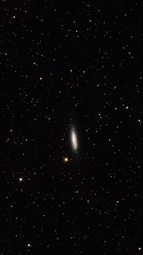Zooming into the Galaxy NGC 6503