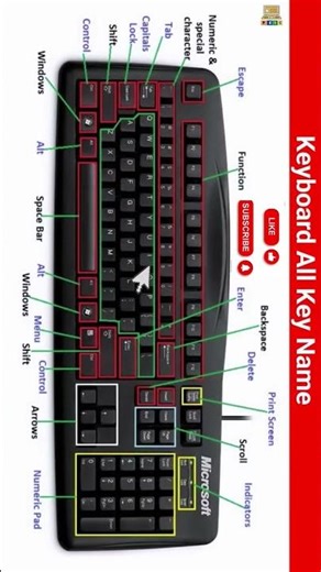 computer keyboard all functions work jan lo 😱😱#computereducation #computerbasics #computercourse