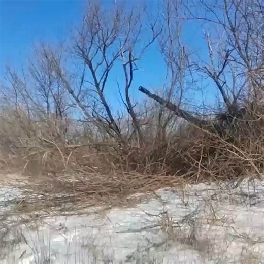 Mijail Tovar on Instagram: "Cañones autopropulsados 2S19 Msta-S de las agrupaciones Tsentr (Centro) y Vostok (Este) del Ejército ruso consiguió nuevos éxitos militares. Según comunicó el Ministerio de Defensa. Grupo de artilleros disparó un proyectil guiado por láser Krasnopol-M2 y destruyó de un impacto una posición ucraniana en dirección de la ciudad de Krasnoarmeisk (Donbass). Información extraida de RT actualidad. 🎥 RT Actualidad #mijailreportes #rusia #artilleria"