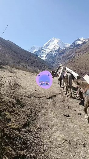 Tee Dee (@tee.dee695)’s videos with original sound - mamealu