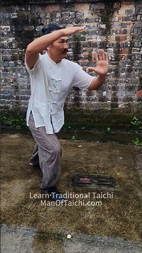 Traditional Yang style Taichi #taichi #manoftaichi #oceanhou #taichiforhealth #taichiforbeginners