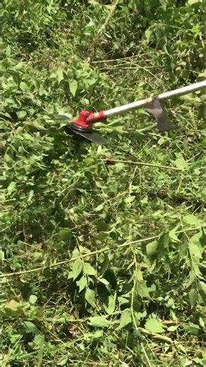 Grass Trimming Using Backpack Brush Cutter | Super Satisfying 🌿