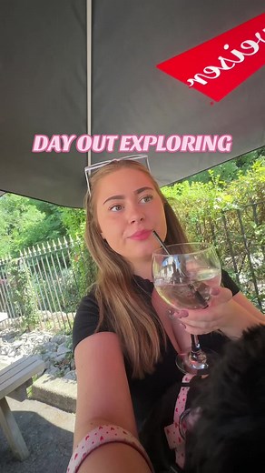 Exploring the Lake District with Dogs: A Day Out