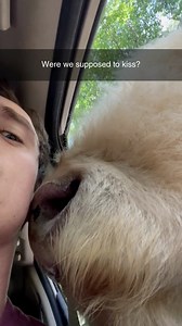 6.3M views · 10K reactions | Cultural differences | Cheezburger | Facebook