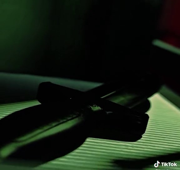 Springtrap Voice Animated