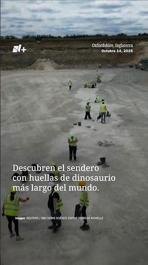 Largest dinosaur footprint trail discovered #nmas #shorts #england