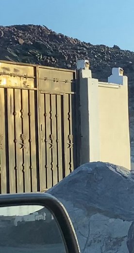 Intricate Metal Gate Designs in Outdoor Settings