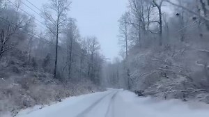 1.9K views · 25 reactions | Hurricane Creek in Pikeville! | Pike County Mugshots & News | Facebook