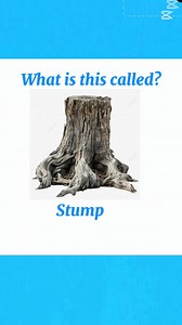 Learm English vocabulary. very important lesson to everyone who is learning English. #CapCut #learnenglish | Ismaelsrc