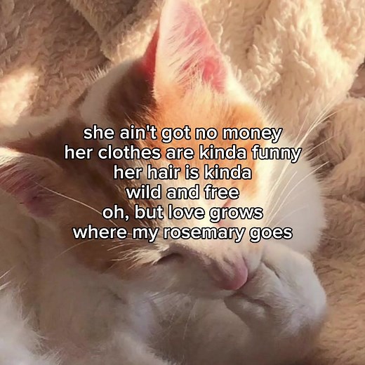 she ain't got no money #lyrics