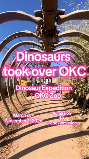 Explore the Incredible Dinosaur Expedition at Oklahoma City Zoo