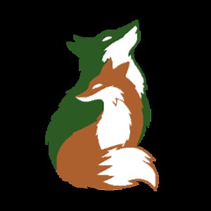 Nine_Tale_Fox - Twitch
