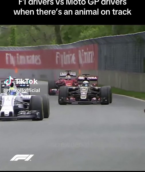 F1 Drivers vs Moto GP Drivers: Animal Encounter