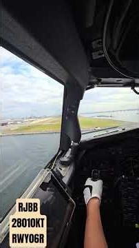 B737 Manual Landing in Variable Tailwinds at Osaka #aviation #b737 #landing #shorts