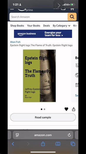 The Controversial Epstein Flight Logs Uncovered