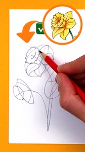 14K views · 105 reactions | Let the flowers bloom on your paper  #DaffodilDrawing #FlowerSketch #SpringArt #DrawingTutorial #BotanicalArt #ArtInspiration #HowToDraw #ColoringFlowers #CreativeMoment | Art Room | Facebook