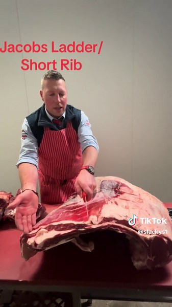 Understanding Jacob's Ladder: A Guide to Short Ribs