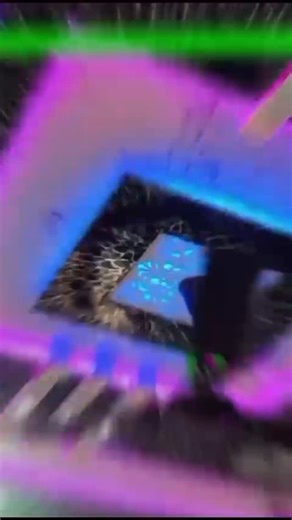 Veer Pal on Instagram: "Beautiful laying up 38😇"