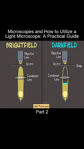 Part_2 Microscopes and How to Utilize a Light Microscope A Practical Guide