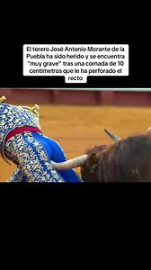 Morante de la Puebla sufre grave cornada