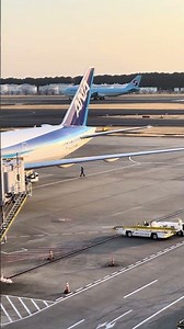 エンジン音がめっちゃいい！！ #ショート #ショート動画 #b747 #成田空港#飛行機 #着陸 #展望デッキ #airplane #airport #landing #大韓航空 #エンジン音