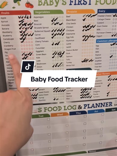 Ultimate Baby Food Tracker for Starting Solids