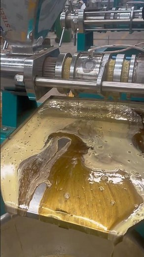 Screw Oil Press Machine | How to Extract Vegetable Oil from Oil Crops #screwoilpress #oilmillmachine