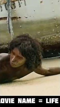 Life of Pi Movie Explained in Hindi | FullSurvival AdventureThriller Story | Full MovieExplanation