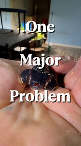 The biggest problems goldfish owners face