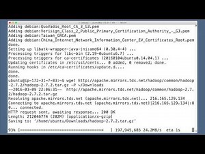 Install Java and Hadoop