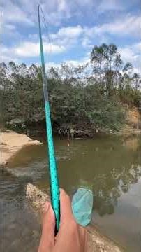 “Village Countryside Fishing Relaxing Day by the Water”