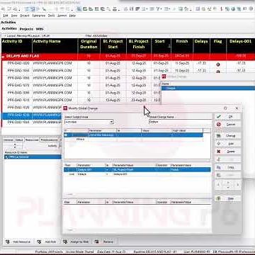 HOW TO SHOW, VIEW AND TRACK PROJECT DELAYS IN PRIMAVERA USING UDFS, GLOBAL CHANGES & FLAG INDICATORS