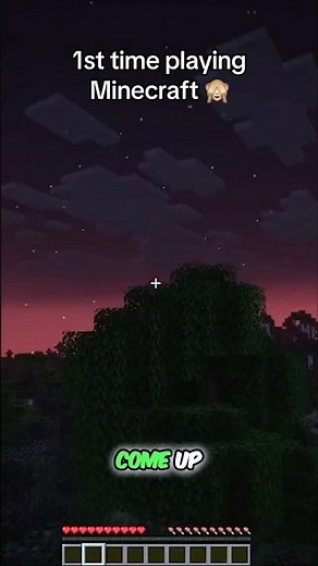 I Played Minecraft For The First Time Ever And It Was A Disaster 💀