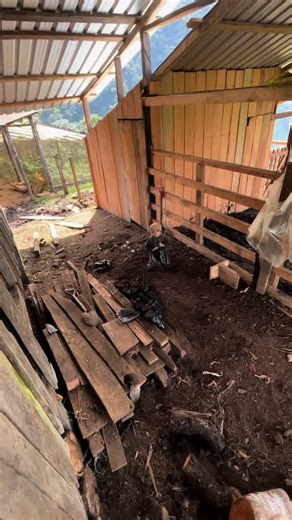 Planting Trees in an Off-Grid Homestead