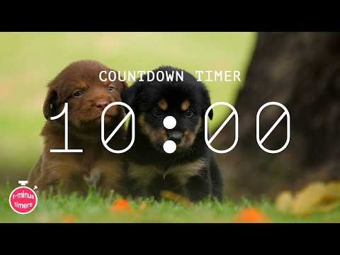 10 Minute Classroom With Upbeat Music For Focus And Productivity