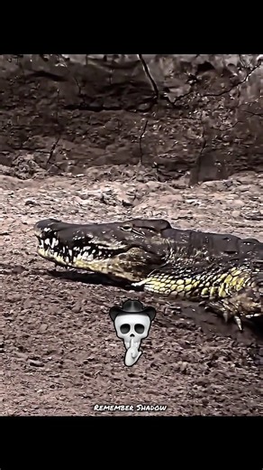 Other Animals Reflex Vs This Deer ☠️