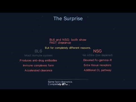 The Immune Factory — Mouse Strain Effects on mAb PK | BL6 vs BCD vs RAG2 vs NSG